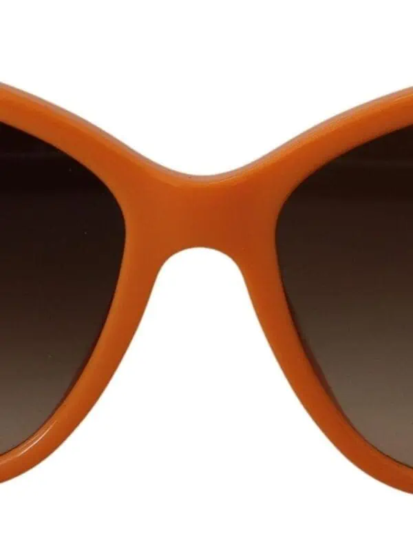 Dolce & Gabbana Orange Acetate Frame Round Shades DG4170PM Sunglasses