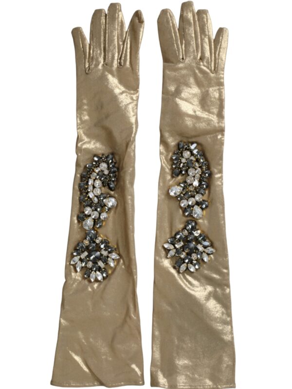 Dolce & Gabbana Beige Satin Crystal Elbow Length Gloves