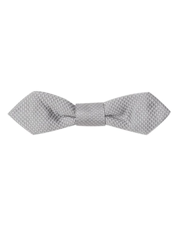 Dolce & Gabbana Gray Silk Bowty