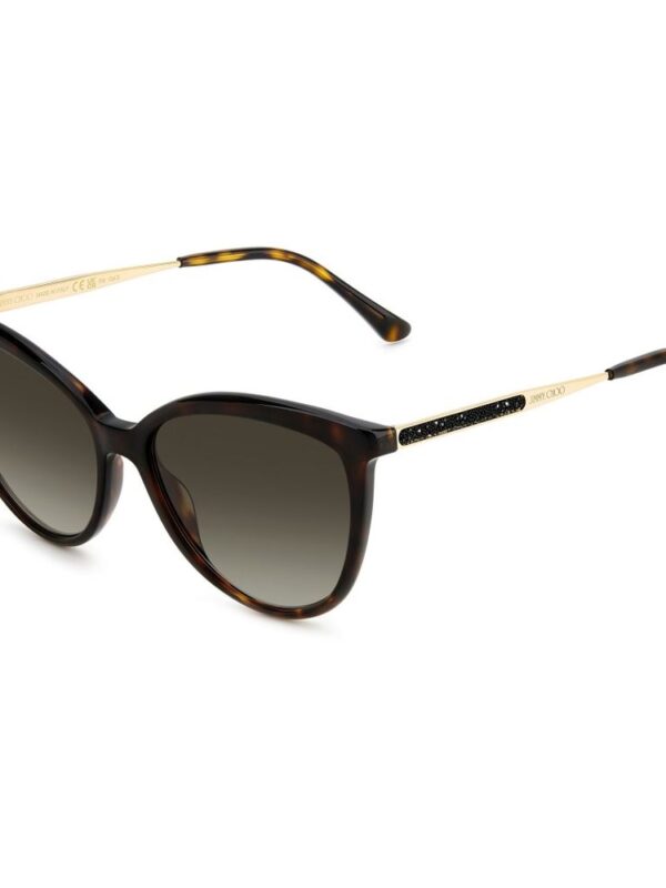Jimmy Choo Brown Metal Sunglasses