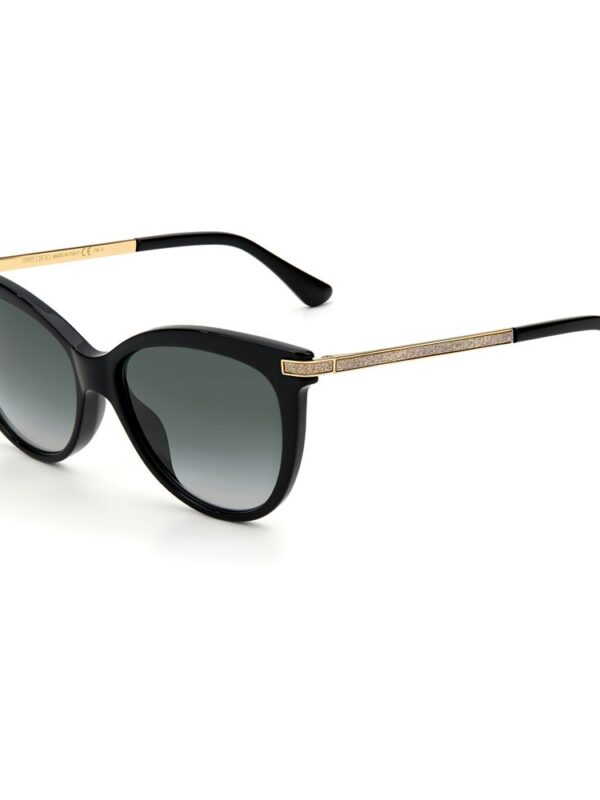 Jimmy Choo Black Acetate Sunglasses