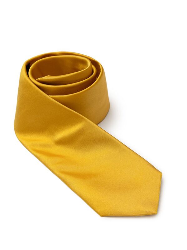 Dolce & Gabbana Gold Silk Ties & Bowty