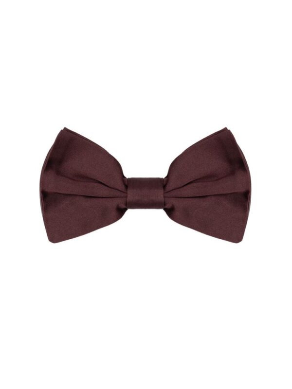 Dolce & Gabbana Burgundy Silk Bowty