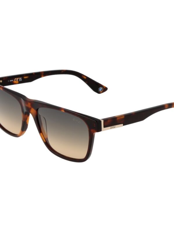 BMW Brown Men Sunglasses