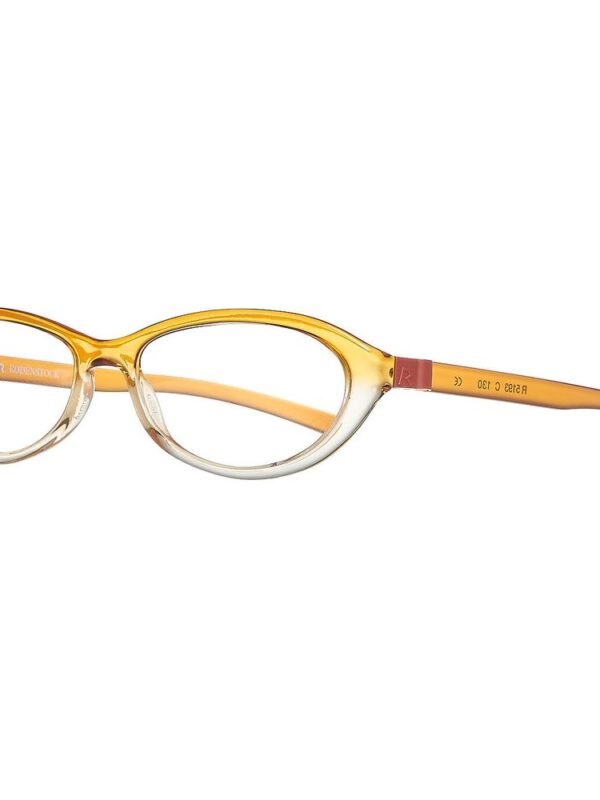 Rodenstock Orange Plastic Frames