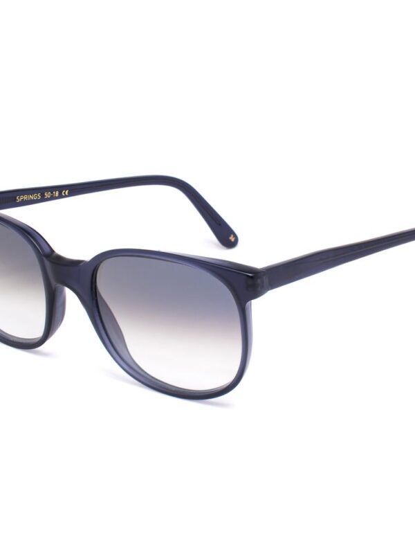 LGR Blue Acetate Sunglasses