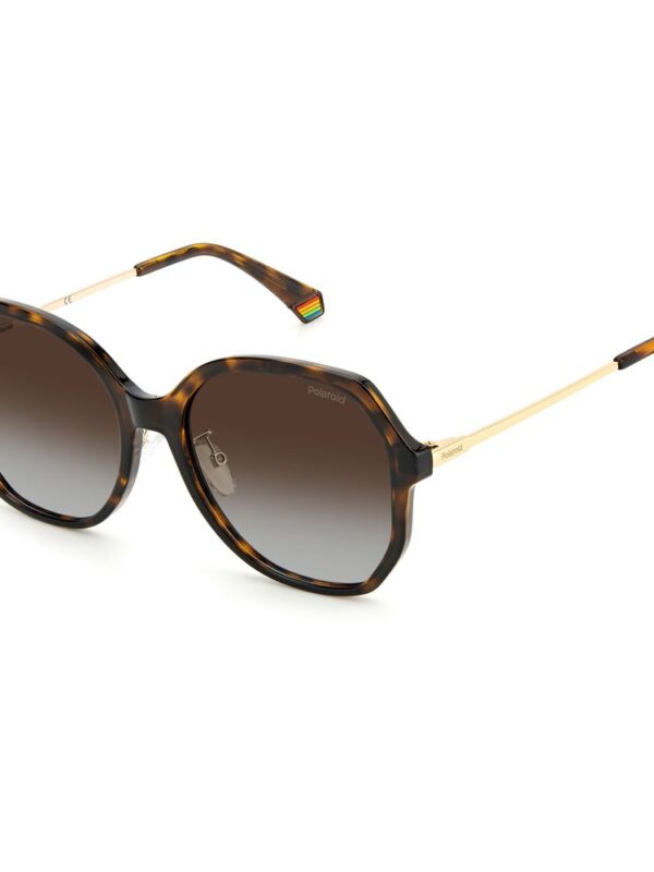 Polaroid Brown Plastic Sunglasses