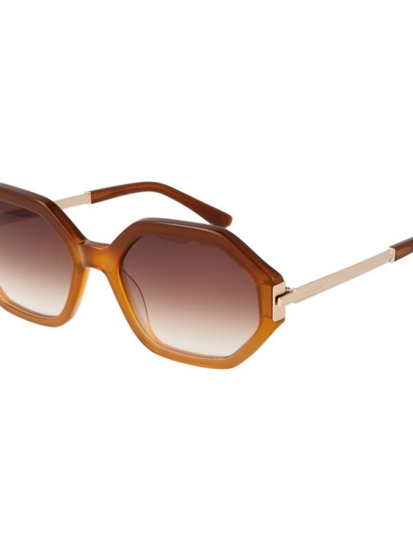 Sandro Brown Women Sunglasses