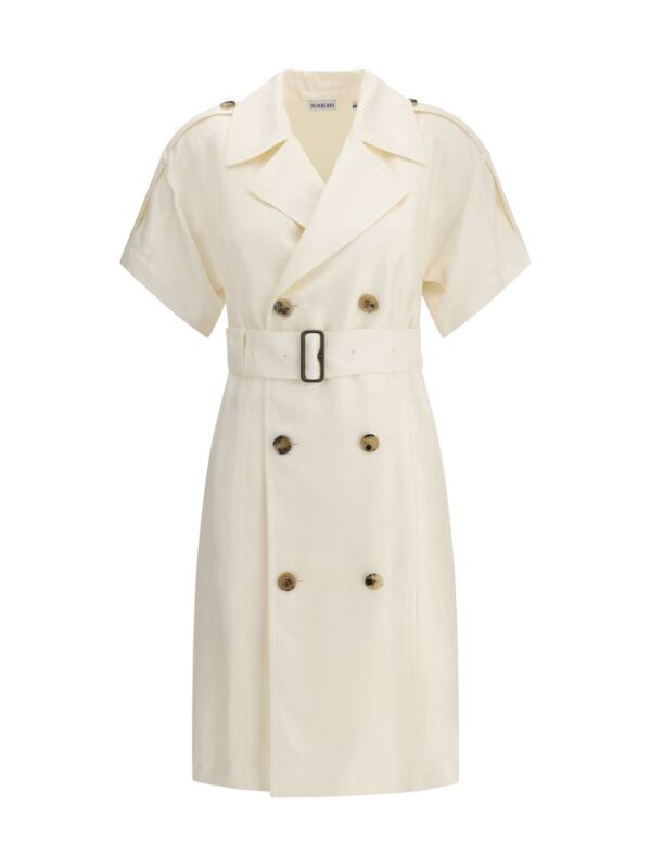 Burberry Belted Trench Dress