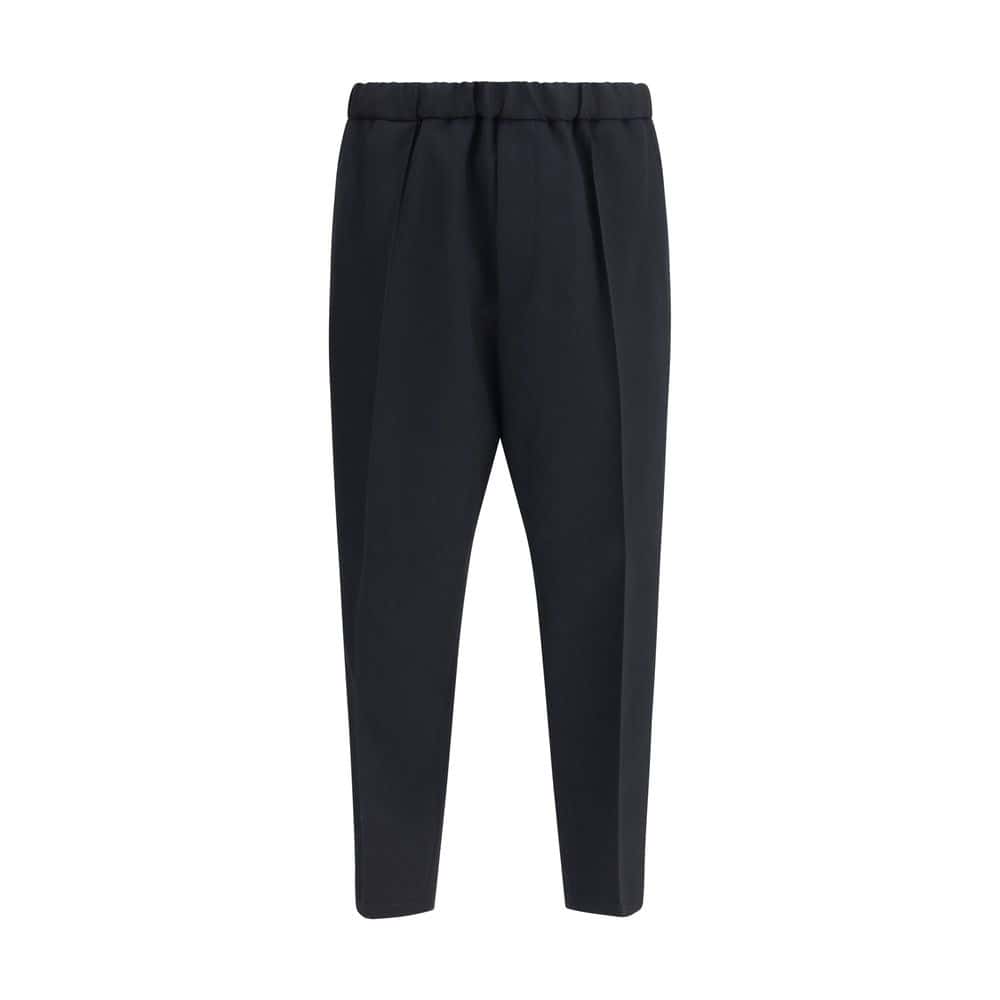 Black tailored dress pants with a tapered fit and elastic waistband for a stylish and comfortable look. Perfect for professional or casual wear. Crafted from high-quality fabric.
