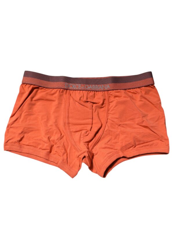 Dolce & Gabbana Orange Cotton Regular Boxer Brief Underwear