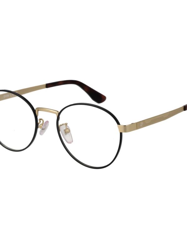 BMW Black Men Optical Frames