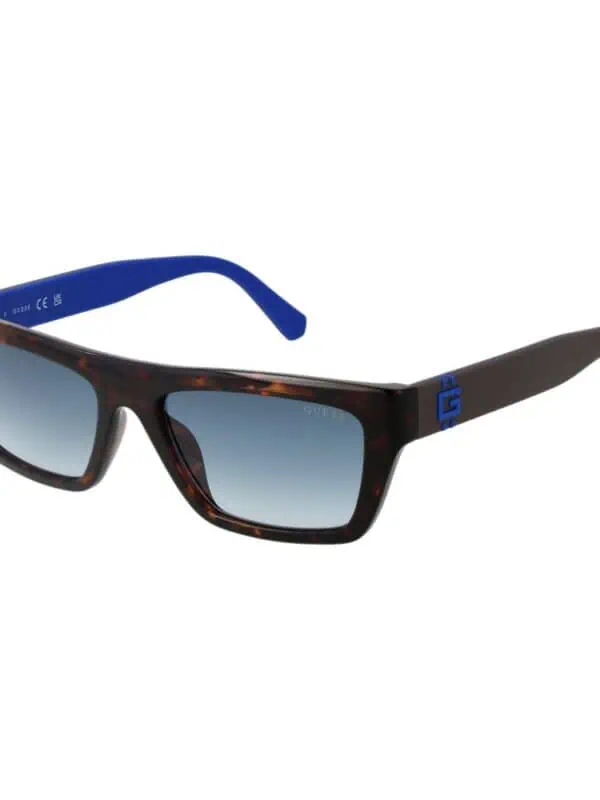 Elegant tortoise shell sunglasses with tinted lenses and blue accents on the arms, perfect for stylish sun protection.