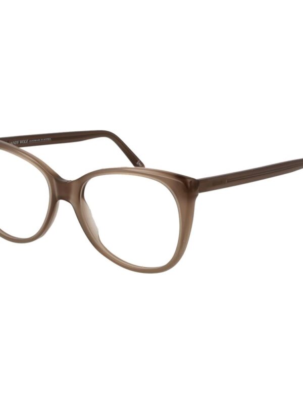 Andy Wolf Brown Unisex Optical Frames