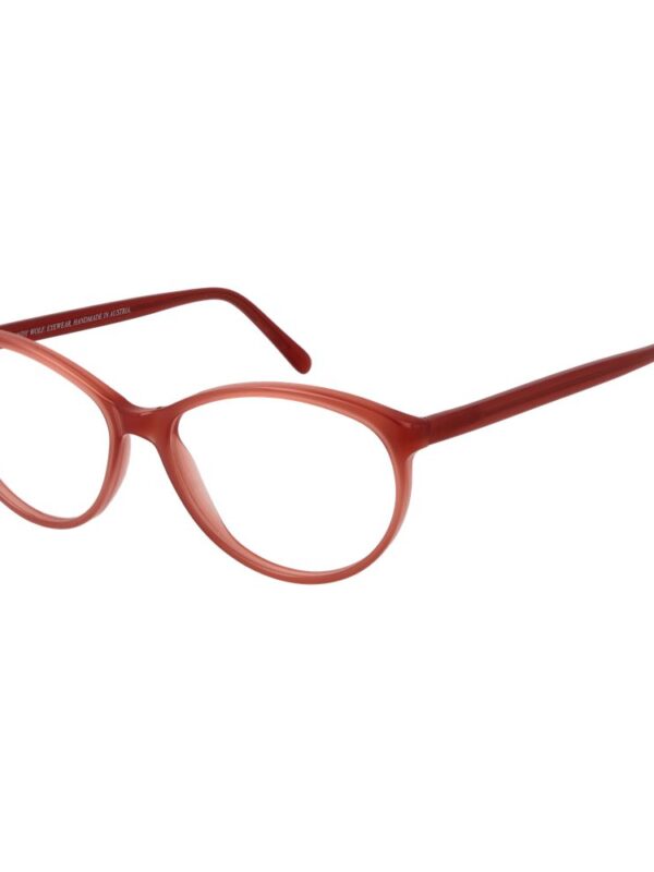 Andy Wolf Pink Unisex Optical Frames