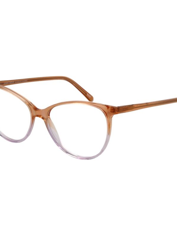 Andy Wolf Multicolor Unisex Optical Frames