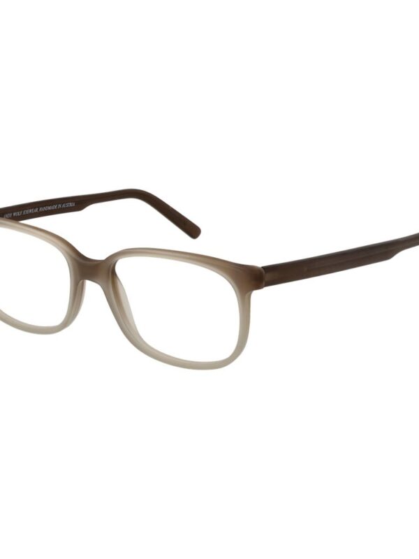 Andy Wolf Brown Unisex Optical Frames