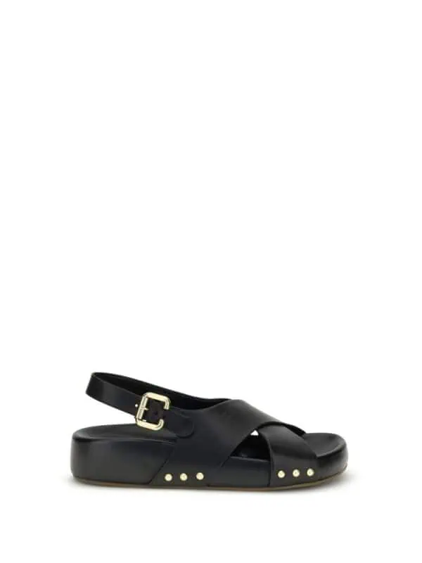 Black leather designer sandal with gold rivet accents and adjustable buckle strap for a chic, luxurious look. Perfect for stylish casual wear or upscale summer outings.
